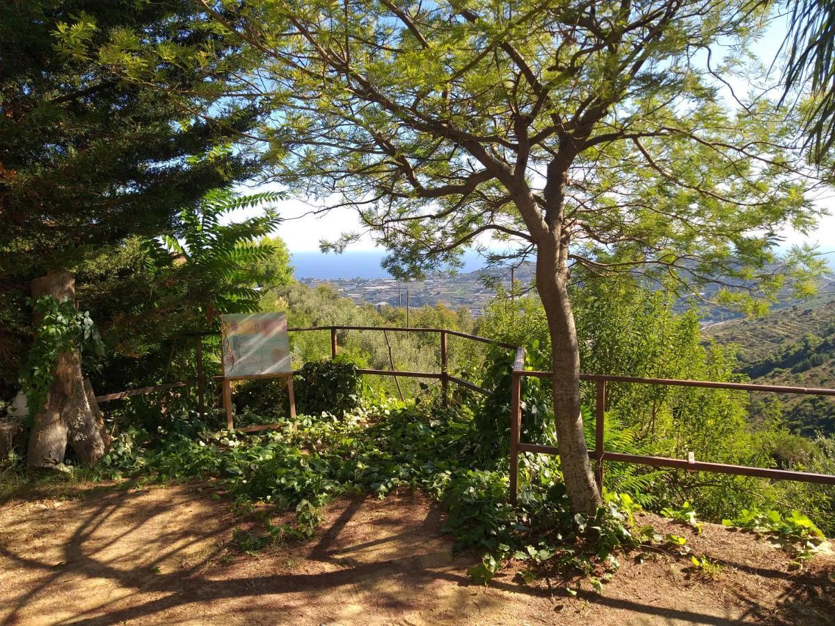 Detached House With Garden And Sea View Guest House Sanremo Eksteriør bilde